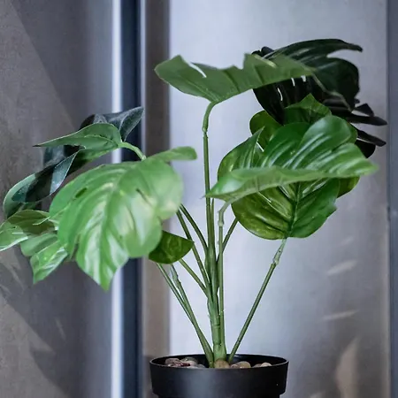 Yiannis Deluxe * La Canée