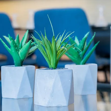 Yiannis Deluxe 干尼亞