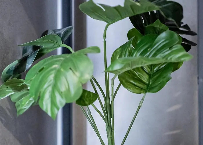 Yiannis Deluxe * Chania (Crete)