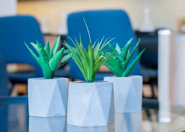 Yiannis Deluxe Chania (Crete)